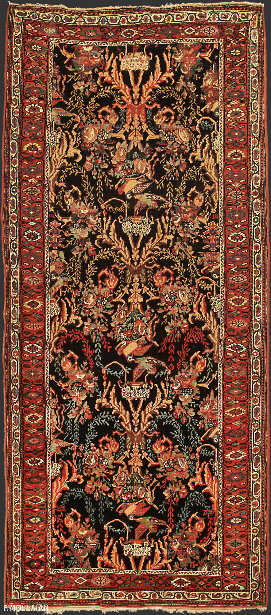 Persian Carpet Bijar (Bidjar) Wide Gallery Size n°:55910165