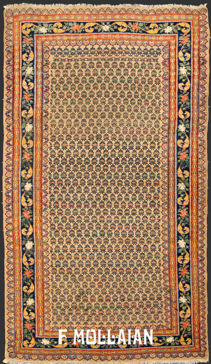 Persian Rug Bidjar (Bijar) n°:887286