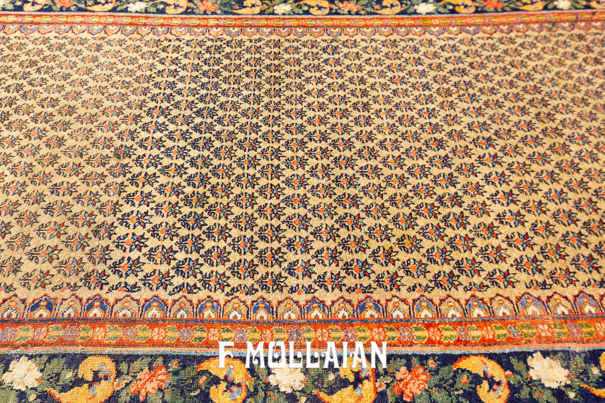 Persian Rug Bidjar (Bijar) n°:887286