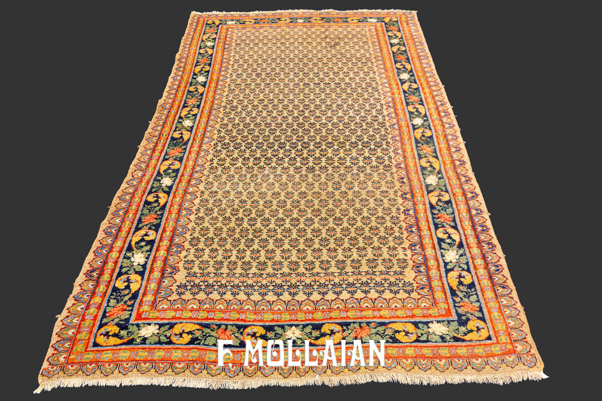 Persian Rug Bidjar (Bijar) n°:887286