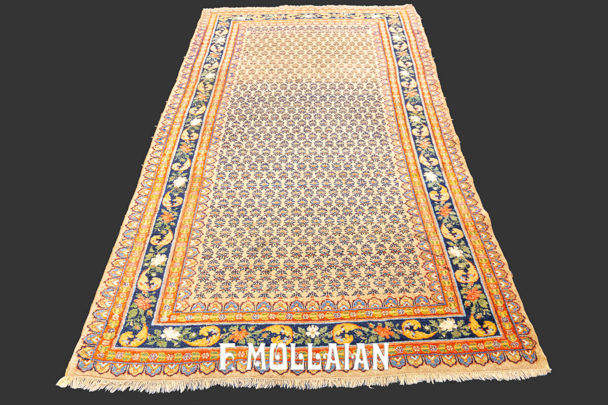 Persian Rug Bidjar (Bijar) n°:887286