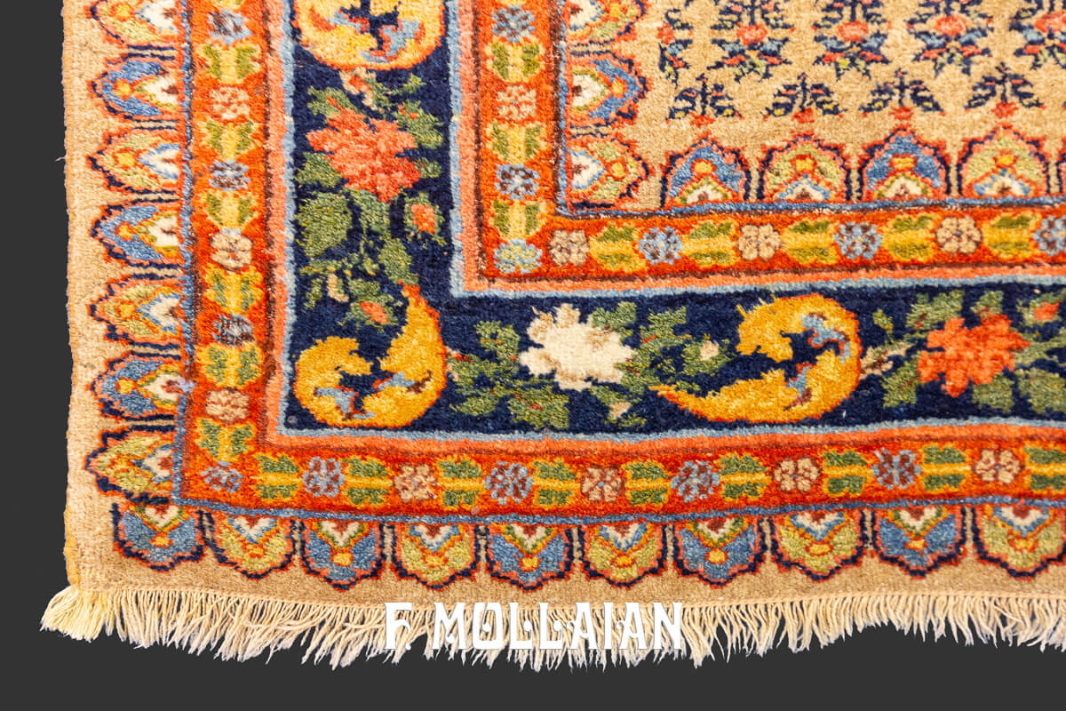 Persian Rug Bidjar (Bijar) n°:887286