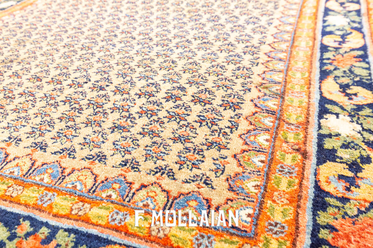 Persian Rug Bidjar (Bijar) n°:887286