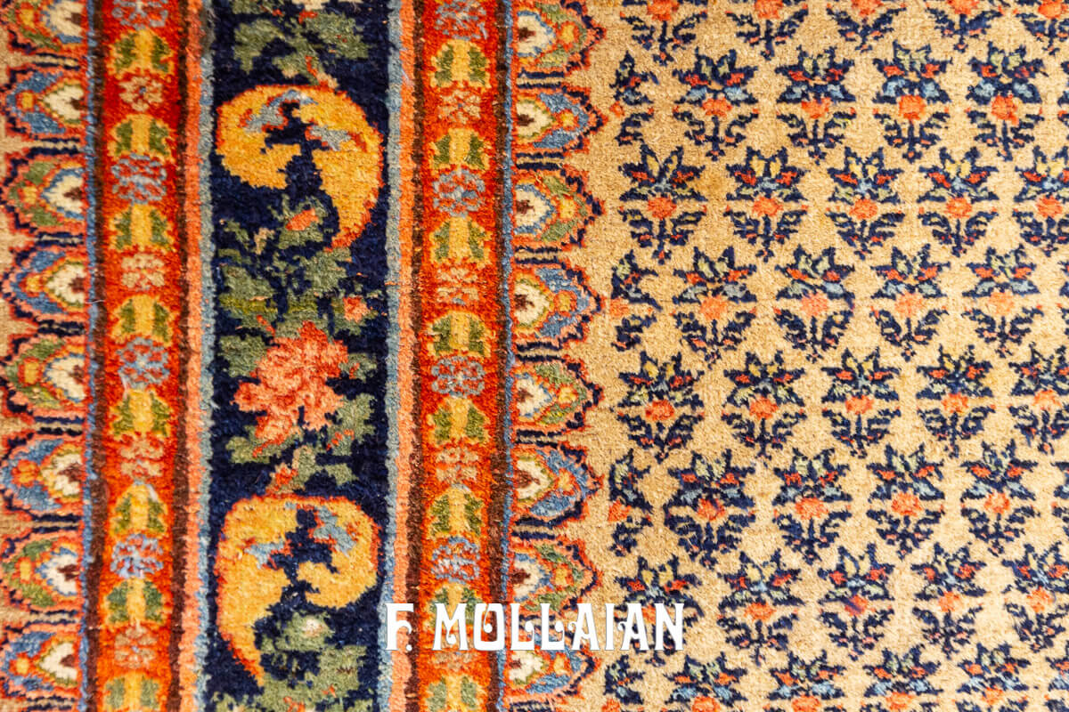 Persian Rug Bidjar (Bijar) n°:887286